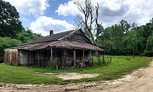 Rodney-Mississippi-Grocery-Store-in-2022