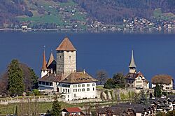 Schloss Spiez von oben