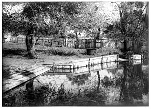 Sheep wash place at Guajome Ranch, ca.1890-1901 (CHS-750).jpg