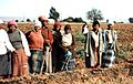 SouthAfricaFieldwork21989