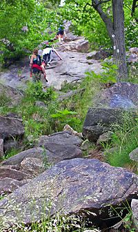 Trail up Breakneck Ridge