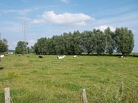 VLAAMS LANDSCHAP 1 - panoramio.jpg