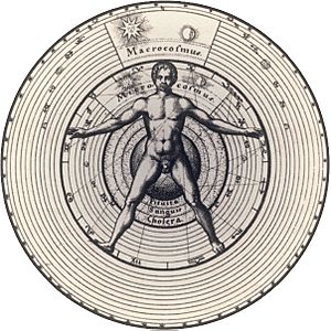 Vitruvian macrocosm