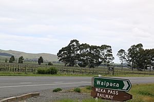 Waipara 27