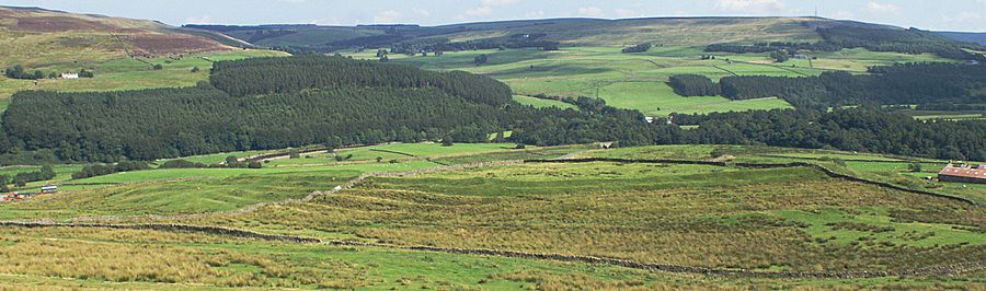 Whitley Castle from hillside