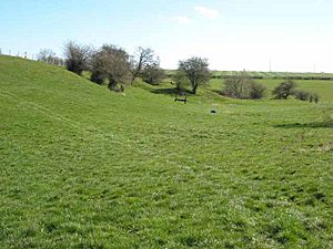 Woodham Medieval Village - geograph.org.uk - 389847