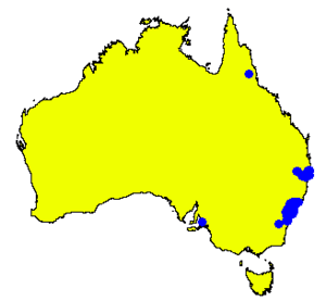 Angophora bakeri DistMap.png