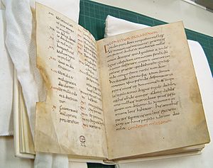 Apicius Handschrift New York Academy of Medicine