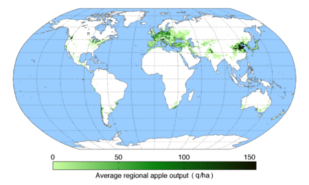 Appleoutput