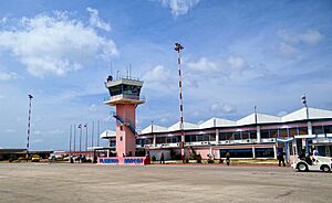 Bonaire-Flamingo-airport-2013