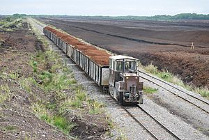 Bord na Mona - "The Bog Train" - At Edenderry, Co. Offaly, Ireland (14225837858)