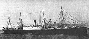 Bovic 1892