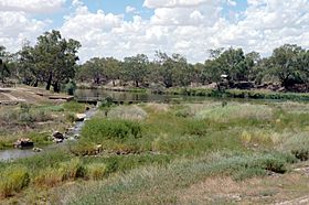 Brewarrina fish traps 4