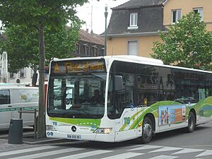 Bus TIS Sélestat