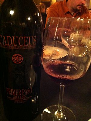 Caduceus cellars primer paso