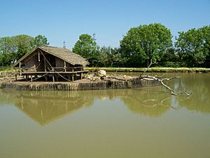 Capybara island. - geograph.org.uk - 314584.jpg