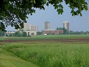 Central Expmtl Farm Ottawa.jpg