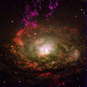 Circinus.galaxy.750pix.jpg