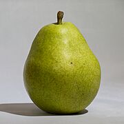D'anjou pear (square).jpg