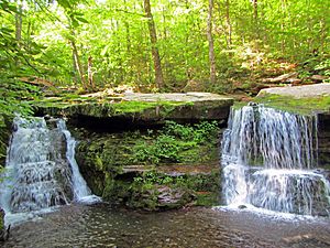 Diamond Notch Falls in summer.jpg