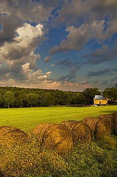 Douglas County Kansas USA