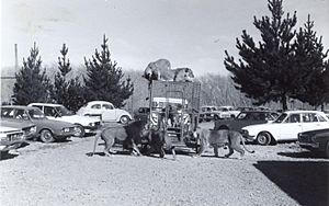 Drive-through Lion Reserve - Orana Wildlife Park