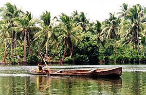 Dugout canoe Rennell