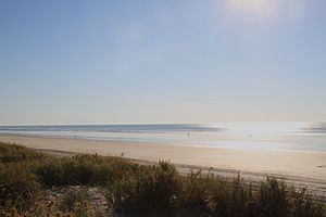 Eighty mile beach during day