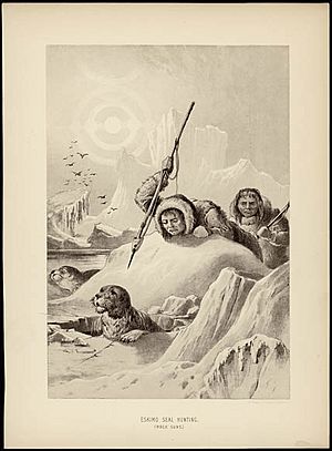 Eskimo Seal Hunting