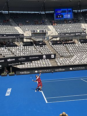 Fabio Fognini serving