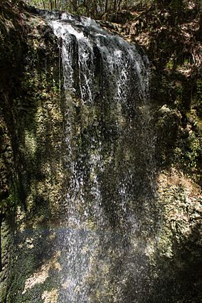 Falling Waters State Park 1.jpg