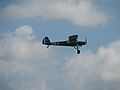 Fieseler Storch French Markings