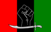 Flag of PPP-SB.svg