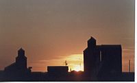 Grain Elevator 047