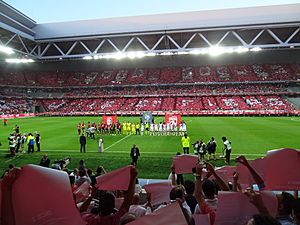 Grand Stade Lille Métropole LOSC first match