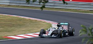 Hamilton Hungary 2015 Qual