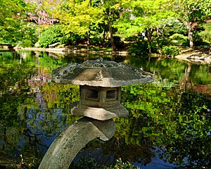 Japanese Lantern, FWJG