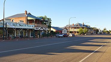 Johnson Street, Bruce Rock, 2014(3).JPG