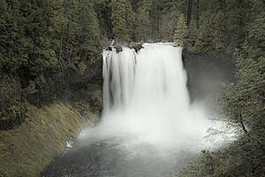 Koosah Falls, Oregon.jpg