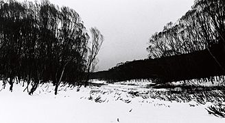 Lake mountain starklandscape