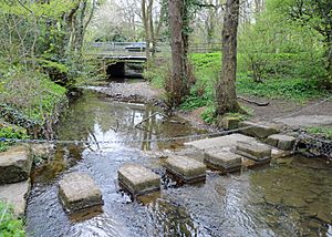 Leadmill Beck