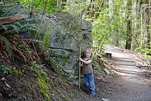 Leschi erratic east face, yardstick.JPG