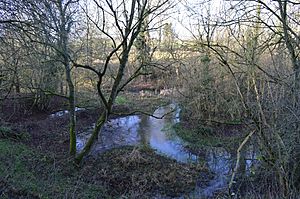 Letcombe Valley 2