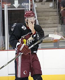 Martin Hanzal