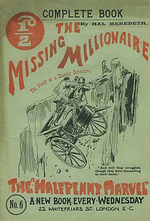 Missing millionaire