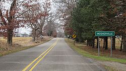 Mosherville, MI road signage