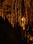 NaturalBridgeCaverns6