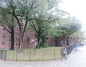 Pelham Pkwy Houses NYCHA cloudy jeh