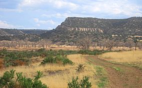 Picketwirecanyon.JPG