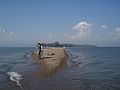 Point Pelee looking north